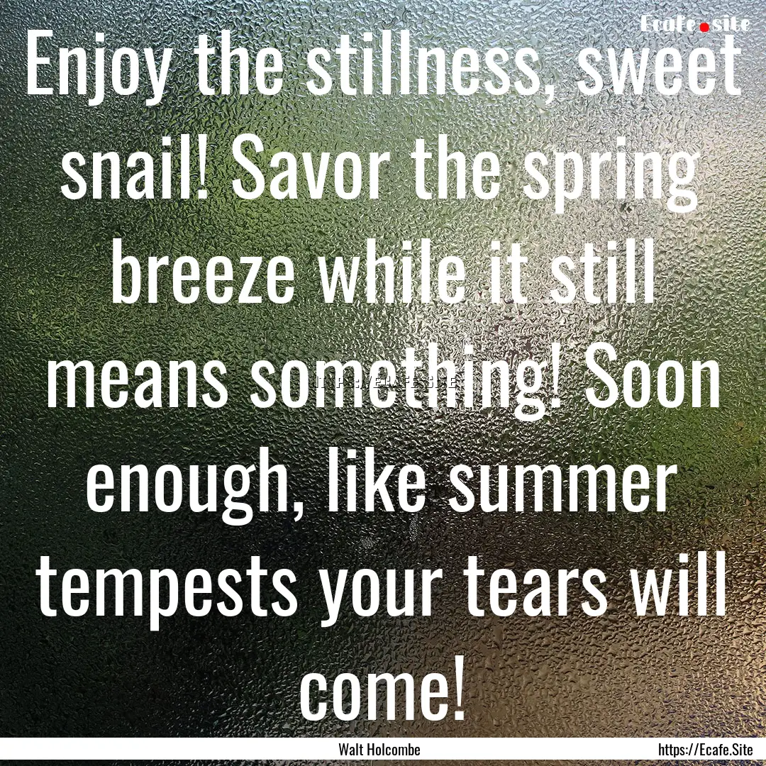 Enjoy the stillness, sweet snail! Savor the.... : Quote by Walt Holcombe