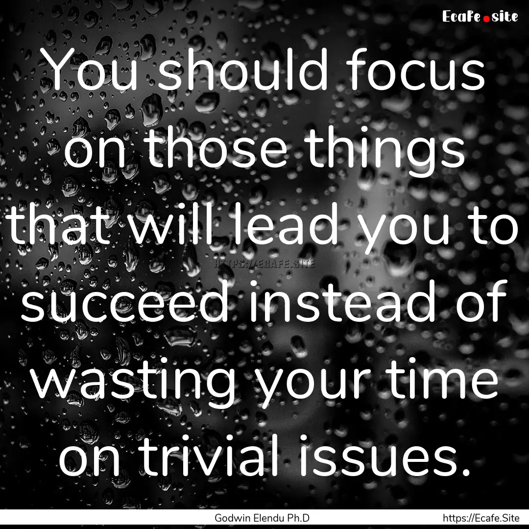 You should focus on those things that will.... : Quote by Godwin Elendu Ph.D