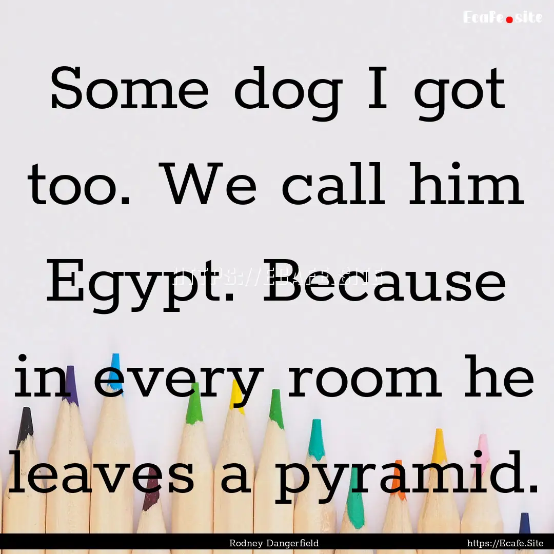 Some dog I got too. We call him Egypt. Because.... : Quote by Rodney Dangerfield