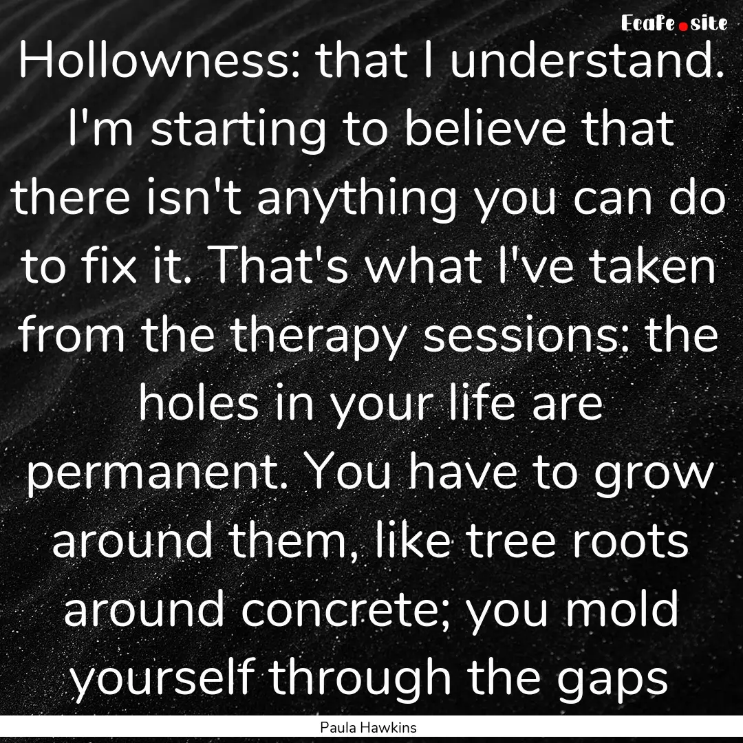 Hollowness: that I understand. I'm starting.... : Quote by Paula Hawkins