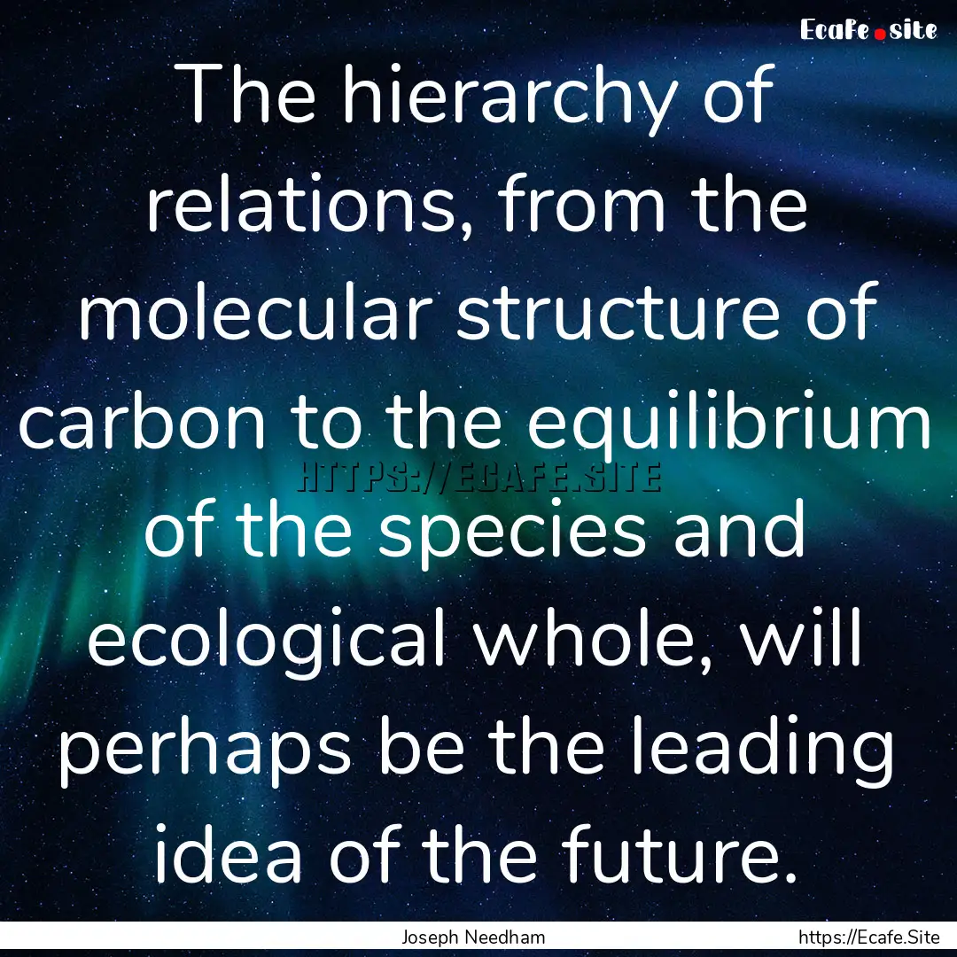 The hierarchy of relations, from the molecular.... : Quote by Joseph Needham