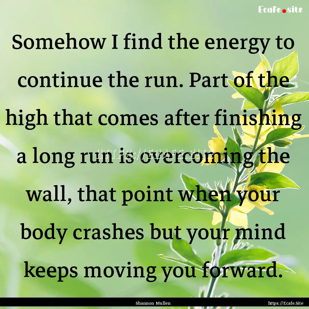 Somehow I find the energy to continue the.... : Quote by Shannon Mullen