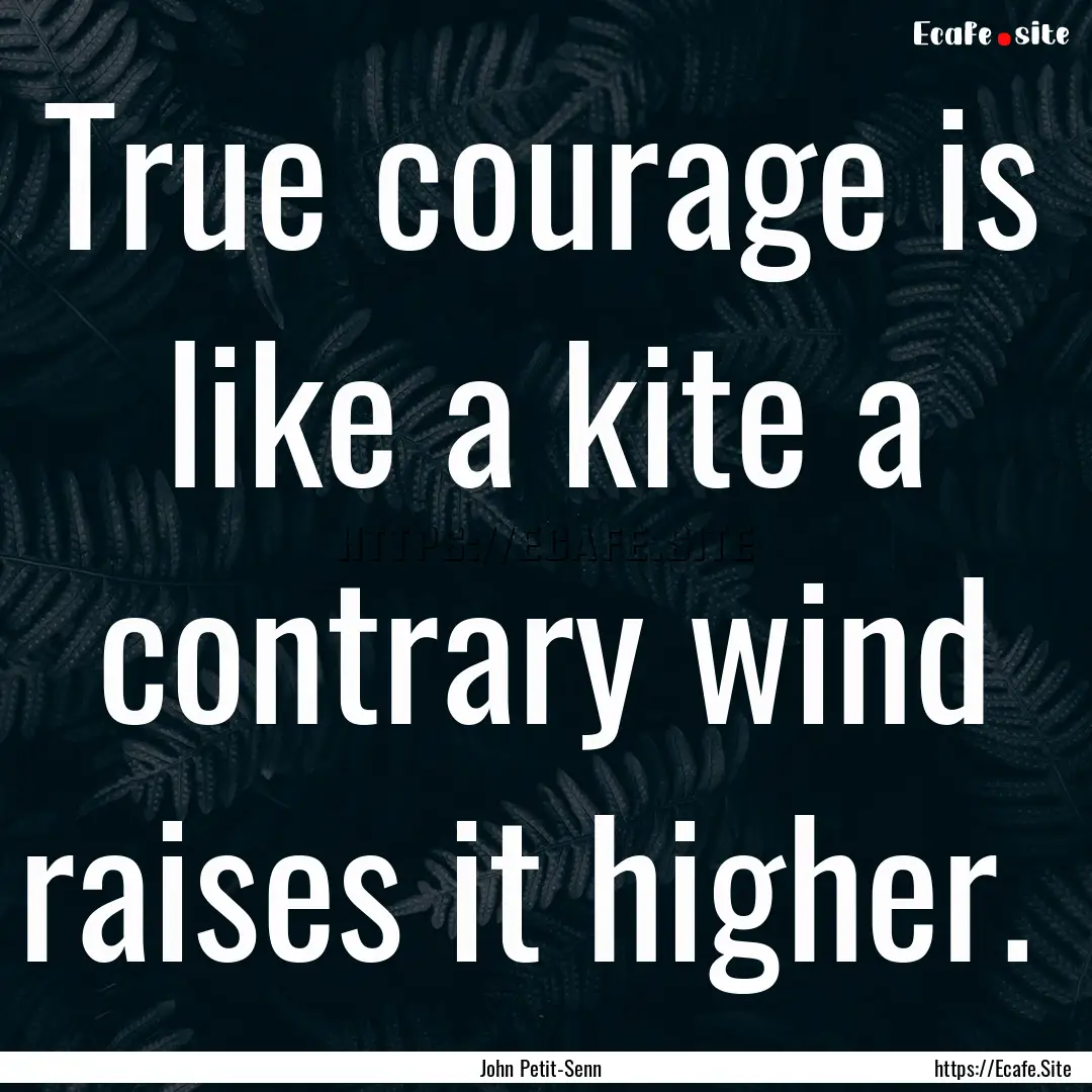 True courage is like a kite a contrary wind.... : Quote by John Petit-Senn