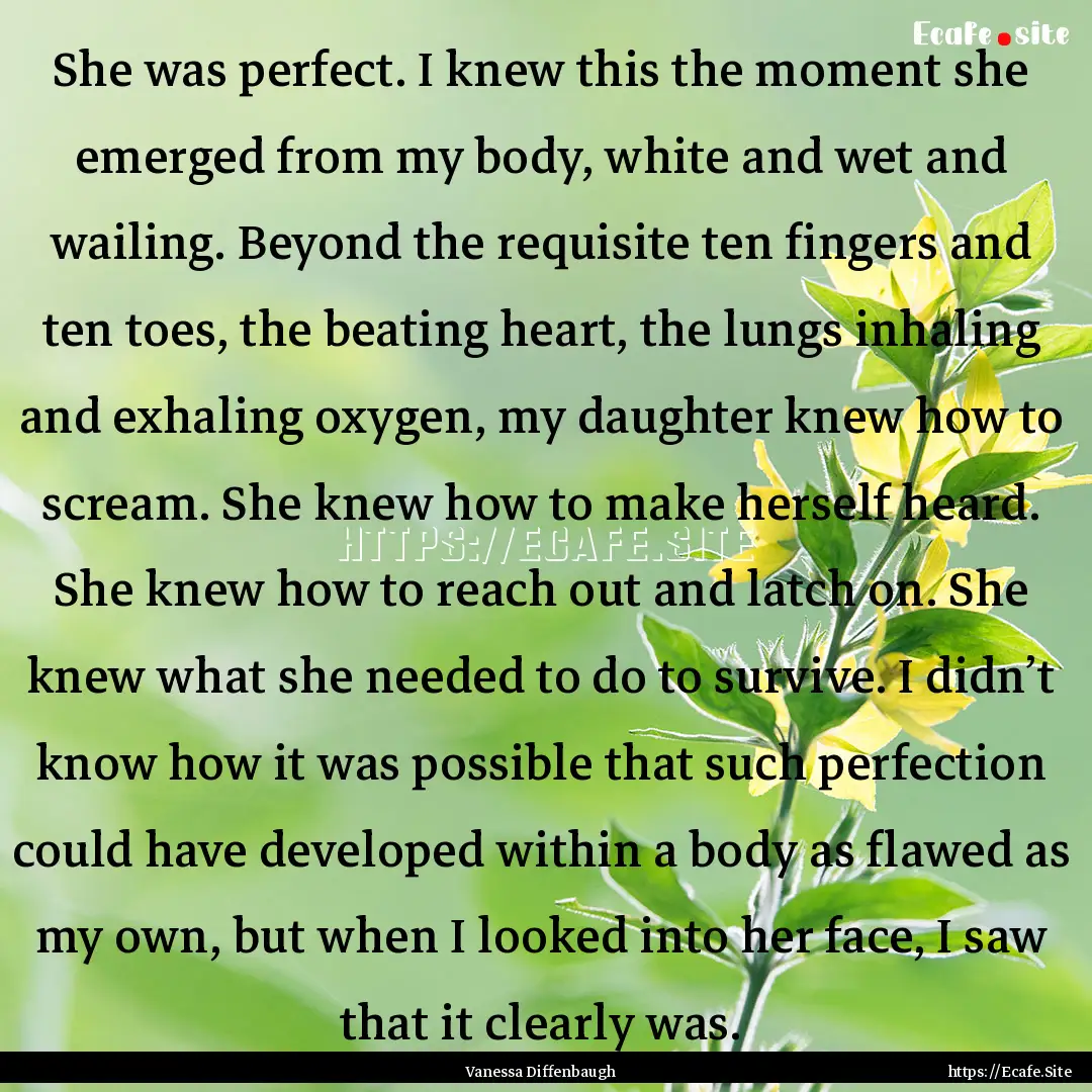 She was perfect. I knew this the moment she.... : Quote by Vanessa Diffenbaugh