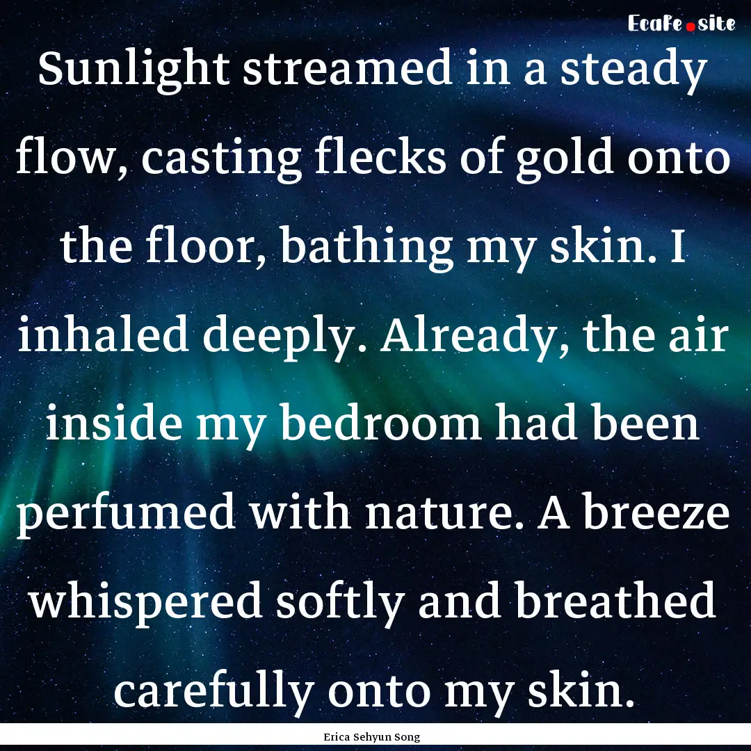 Sunlight streamed in a steady flow, casting.... : Quote by Erica Sehyun Song