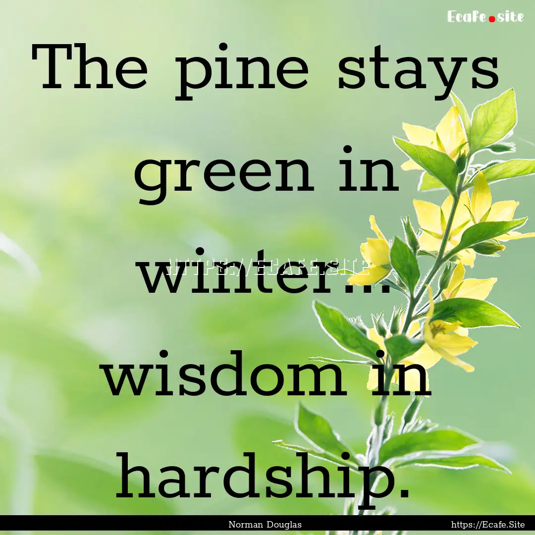 The pine stays green in winter... wisdom.... : Quote by Norman Douglas