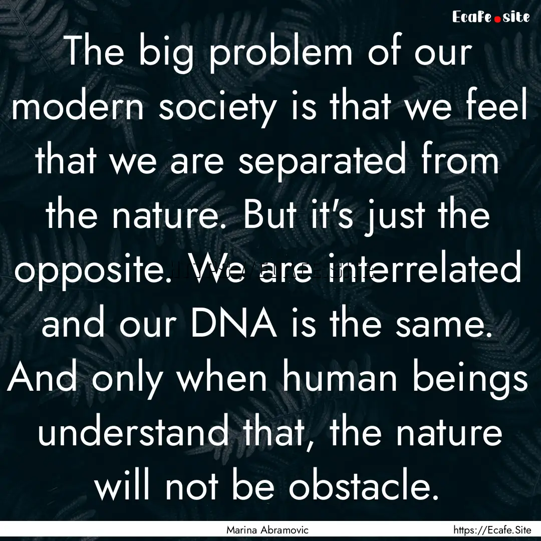 The big problem of our modern society is.... : Quote by Marina Abramovic