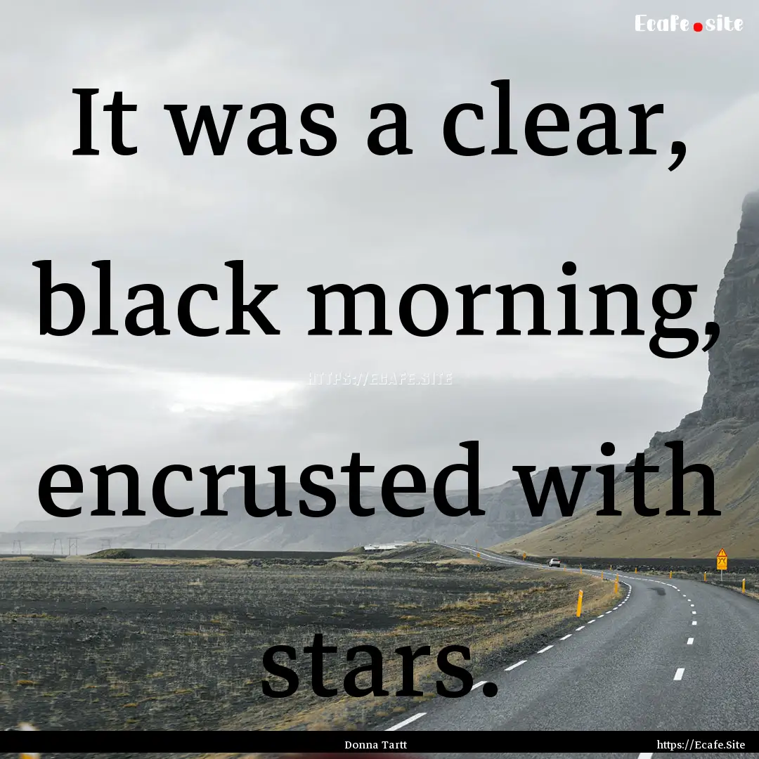 It was a clear, black morning, encrusted.... : Quote by Donna Tartt