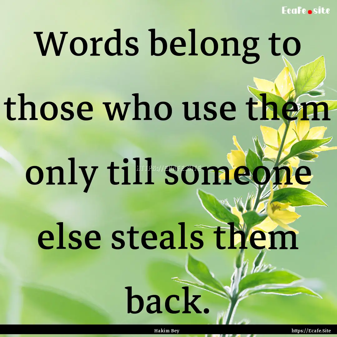 Words belong to those who use them only till.... : Quote by Hakim Bey