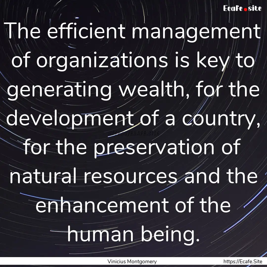 The efficient management of organizations.... : Quote by Vinicius Montgomery