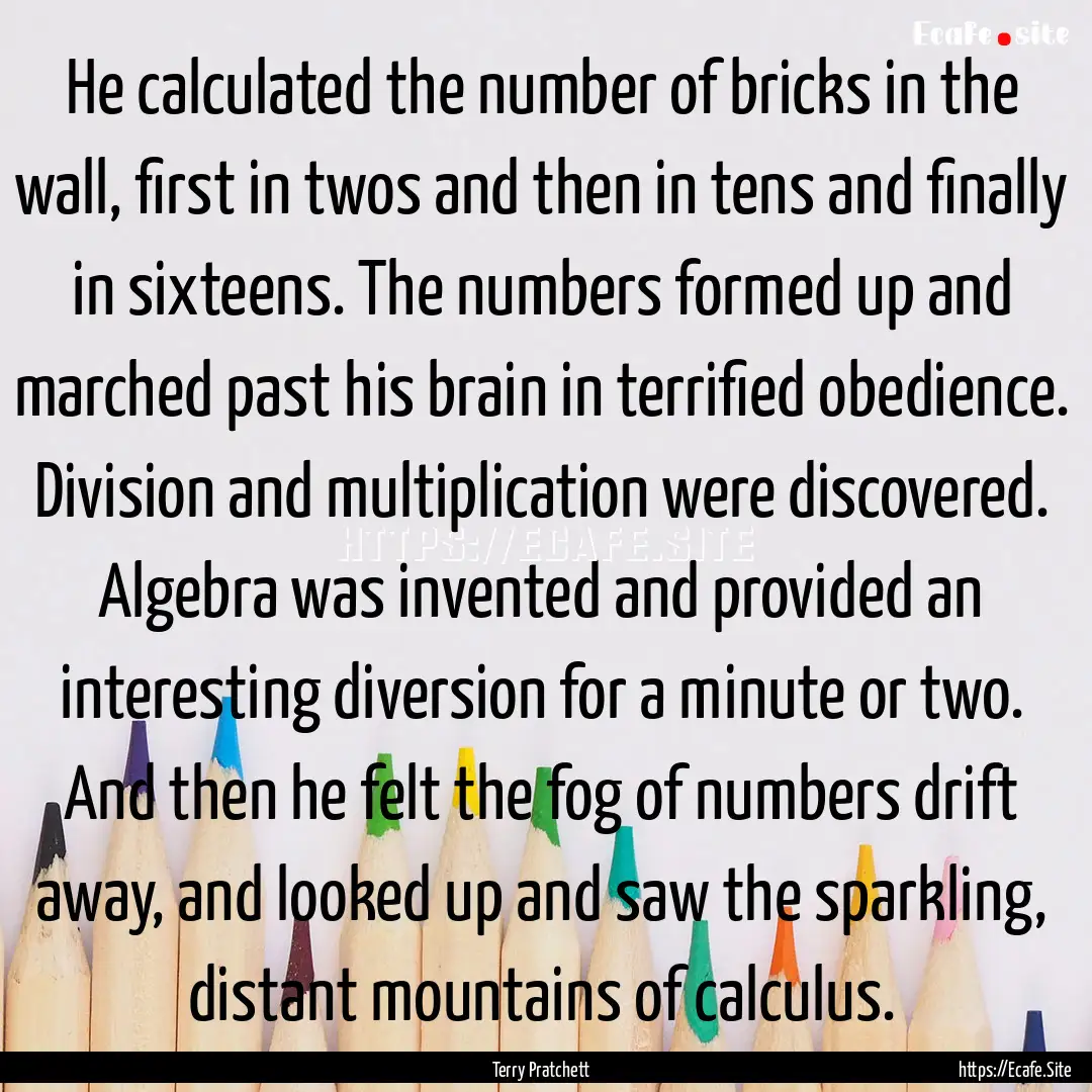 He calculated the number of bricks in the.... : Quote by Terry Pratchett