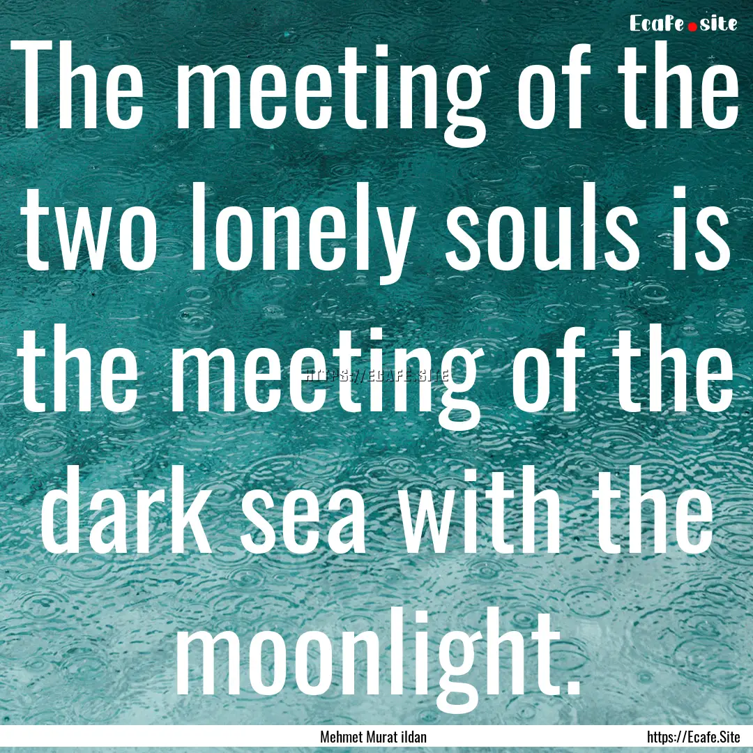 The meeting of the two lonely souls is the.... : Quote by Mehmet Murat ildan