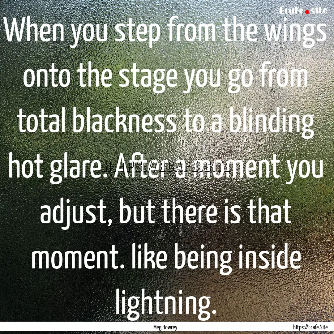 When you step from the wings onto the stage.... : Quote by Meg Howrey