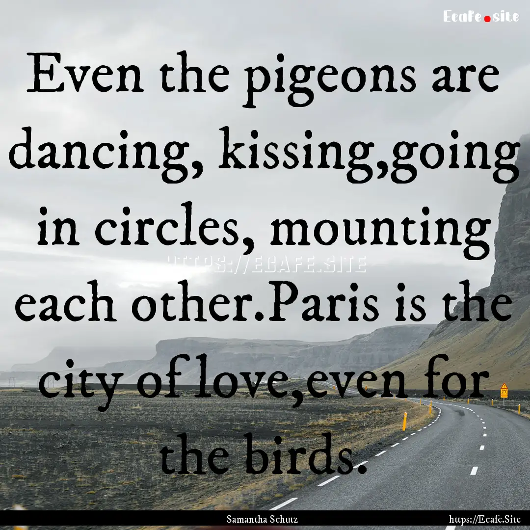 Even the pigeons are dancing, kissing,going.... : Quote by Samantha Schutz