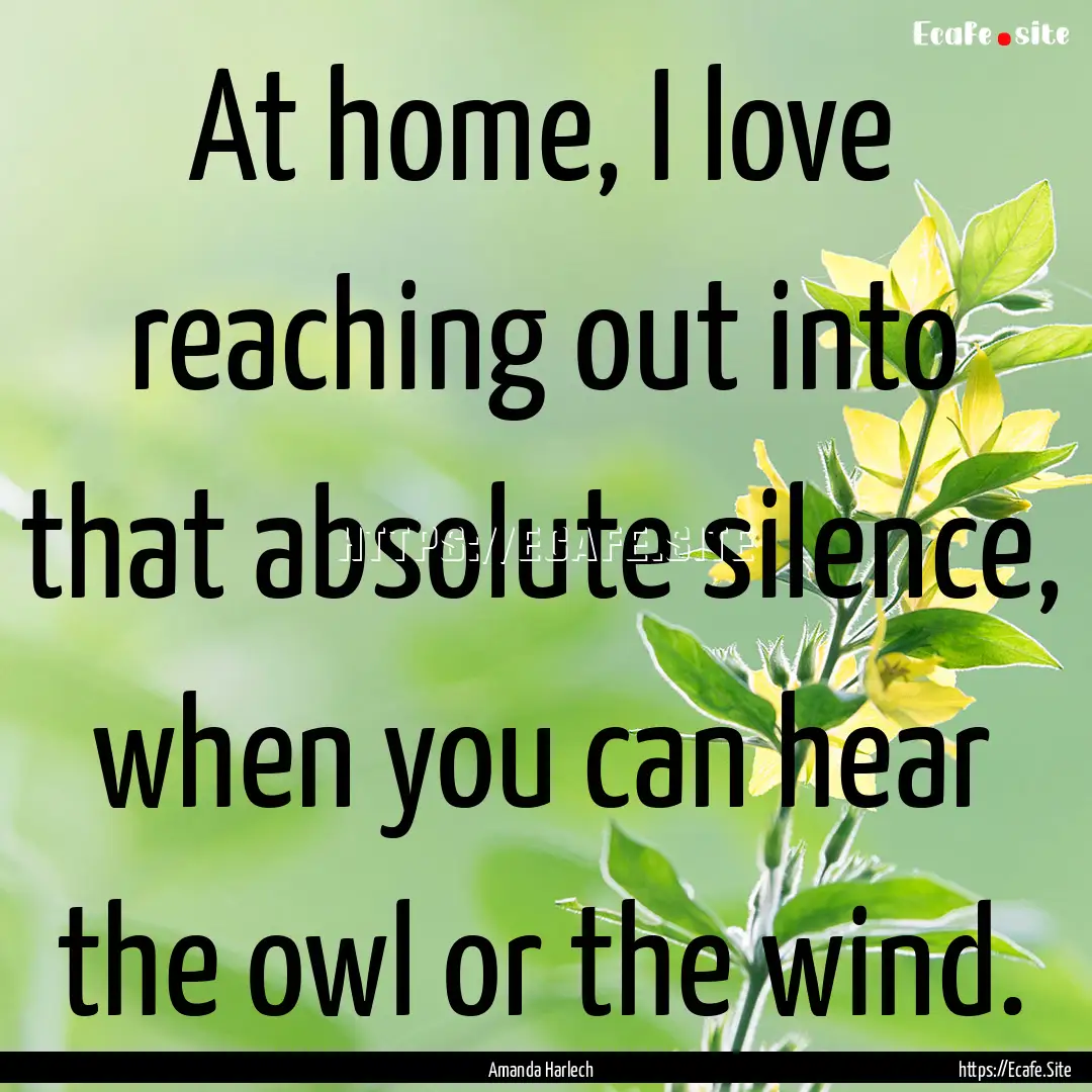 At home, I love reaching out into that absolute.... : Quote by Amanda Harlech