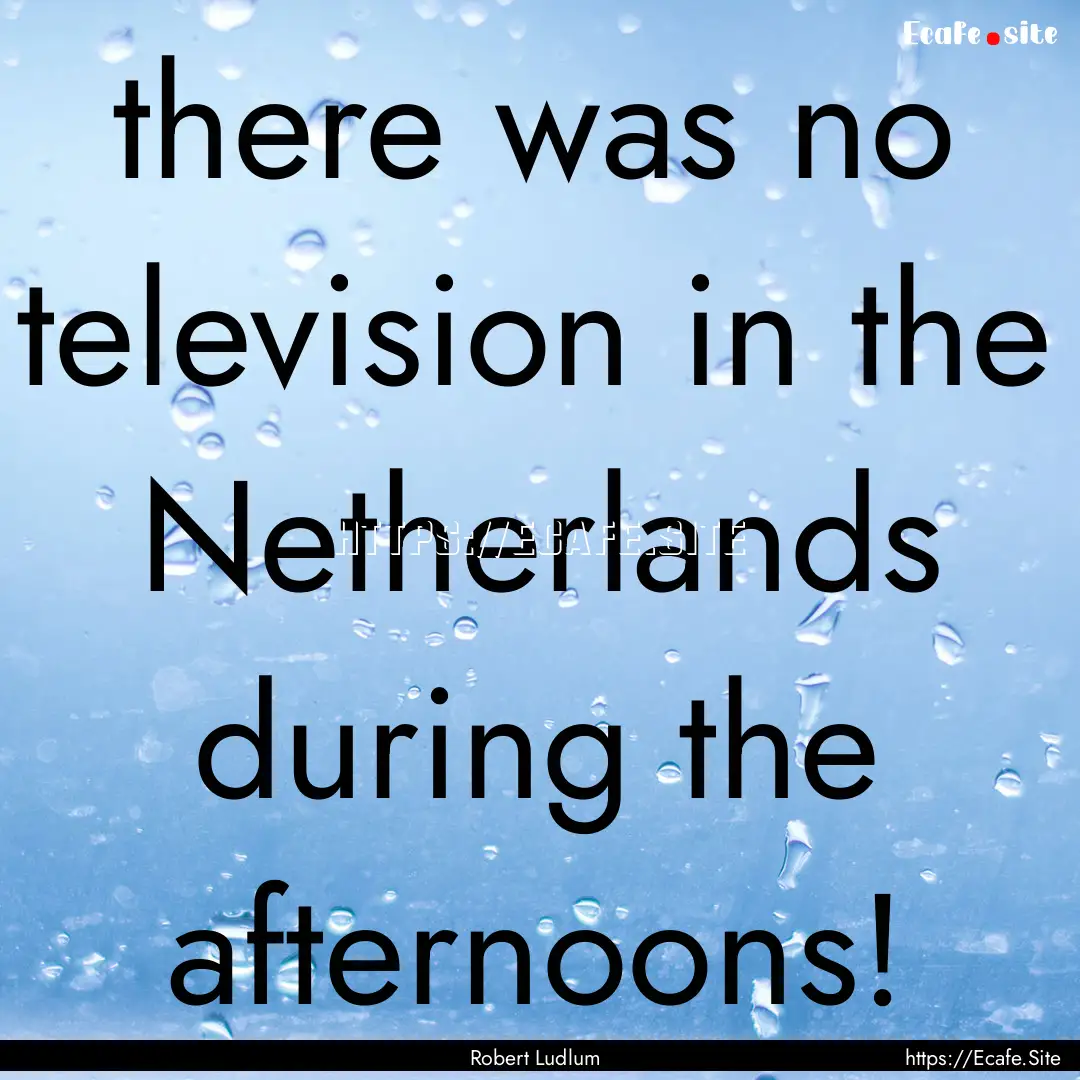 there was no television in the Netherlands.... : Quote by Robert Ludlum