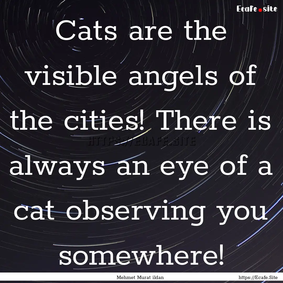 Cats are the visible angels of the cities!.... : Quote by Mehmet Murat ildan