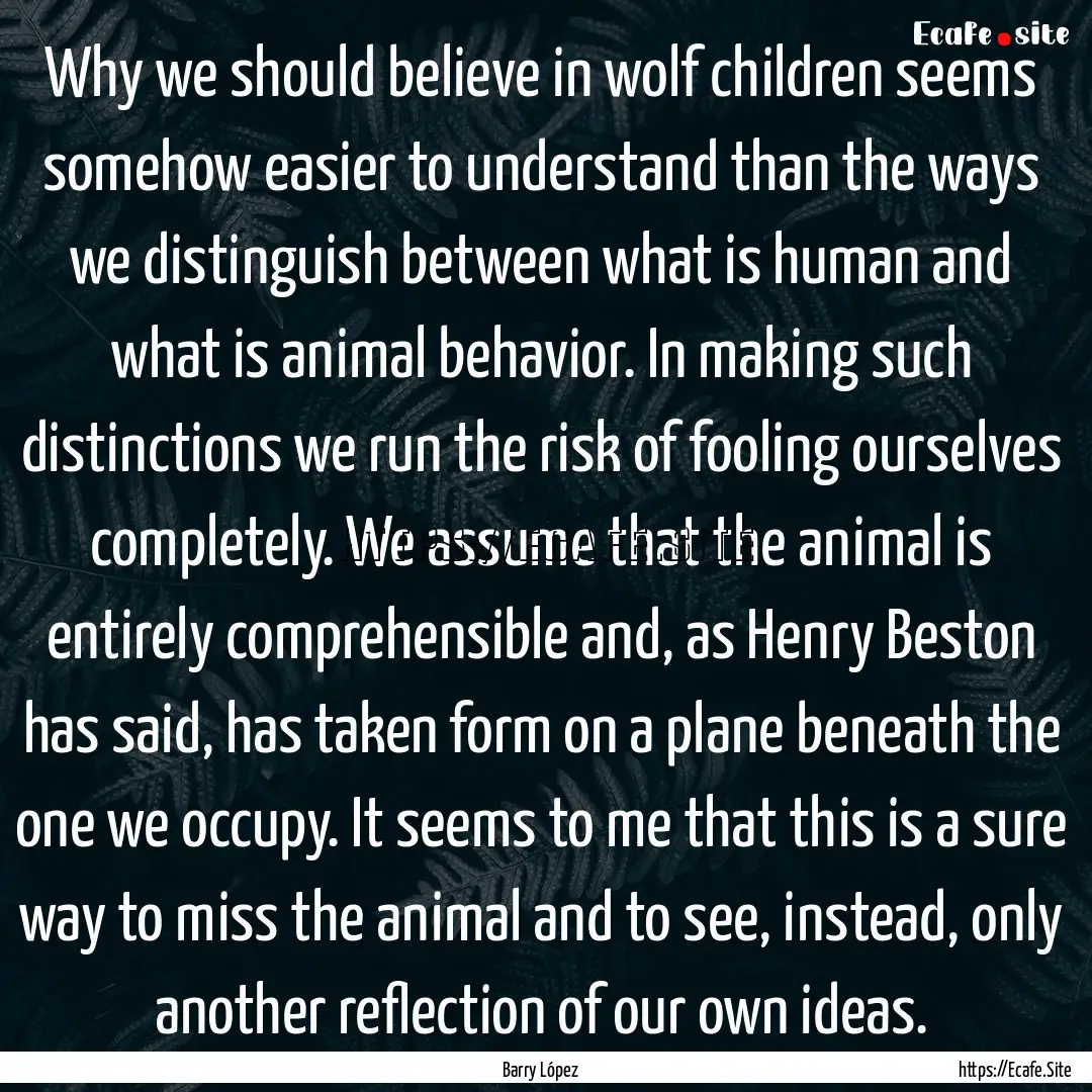 Why we should believe in wolf children seems.... : Quote by Barry López