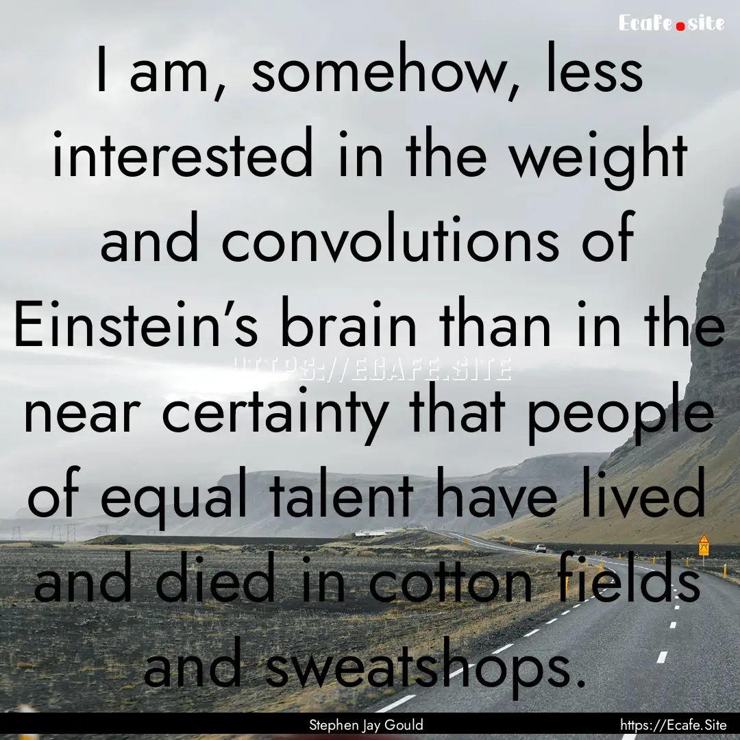 I am, somehow, less interested in the weight.... : Quote by Stephen Jay Gould