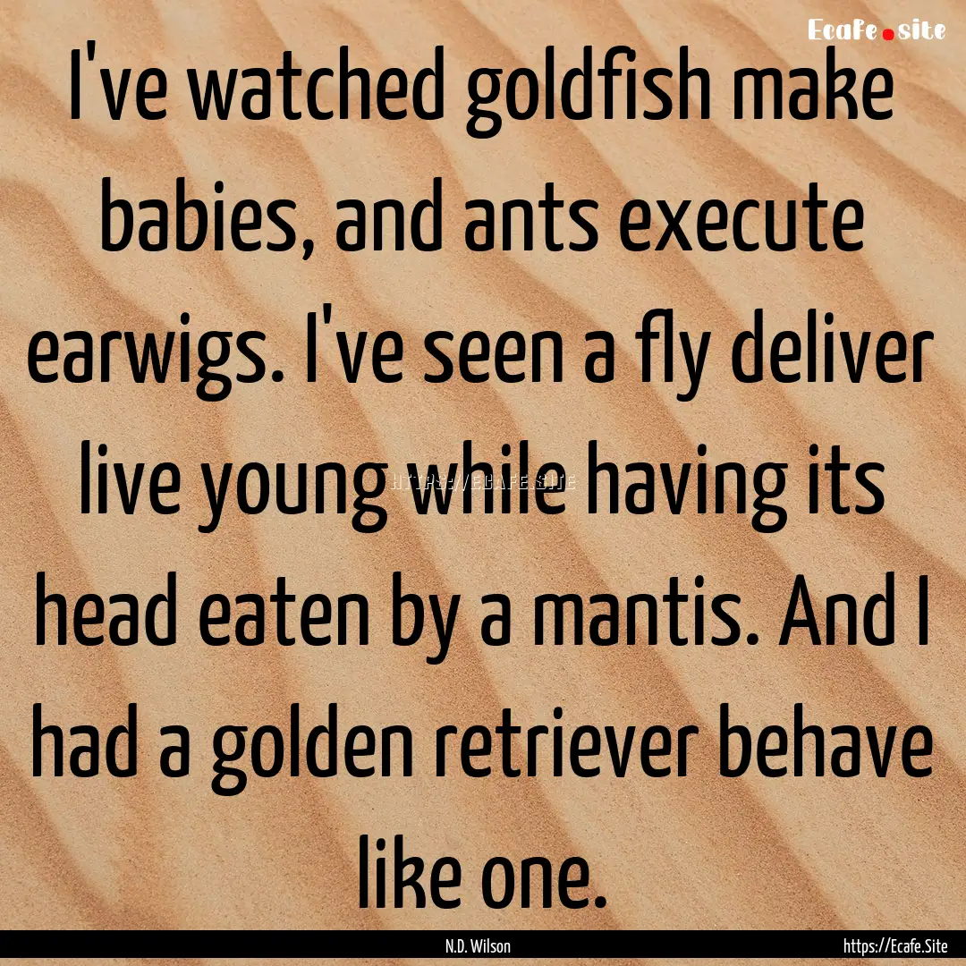 I've watched goldfish make babies, and ants.... : Quote by N.D. Wilson