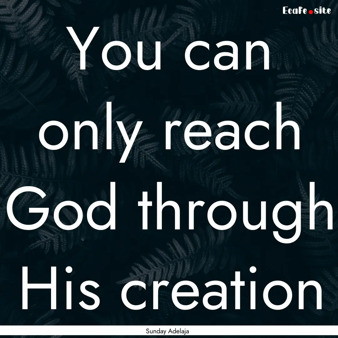 You can only reach God through His creation.... : Quote by Sunday Adelaja