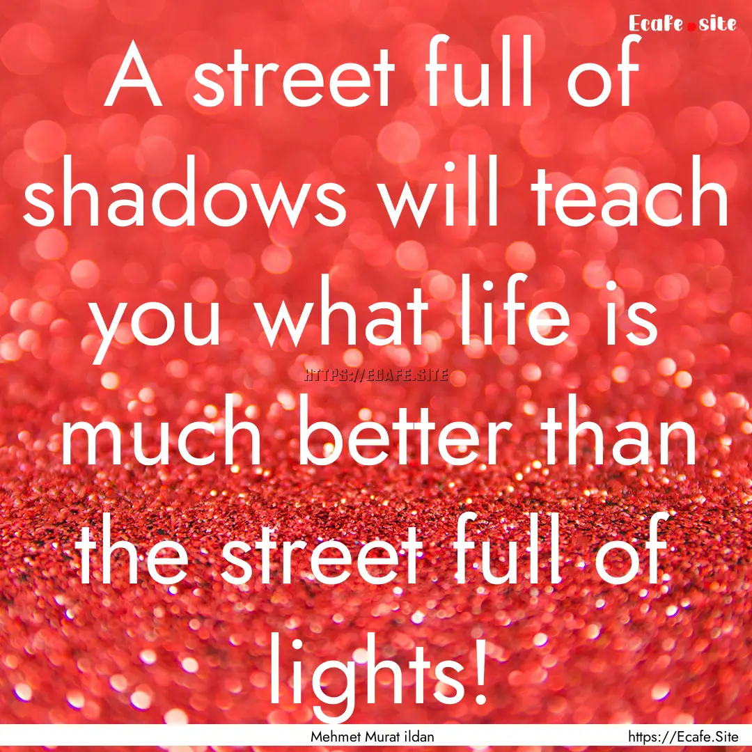 A street full of shadows will teach you what.... : Quote by Mehmet Murat ildan