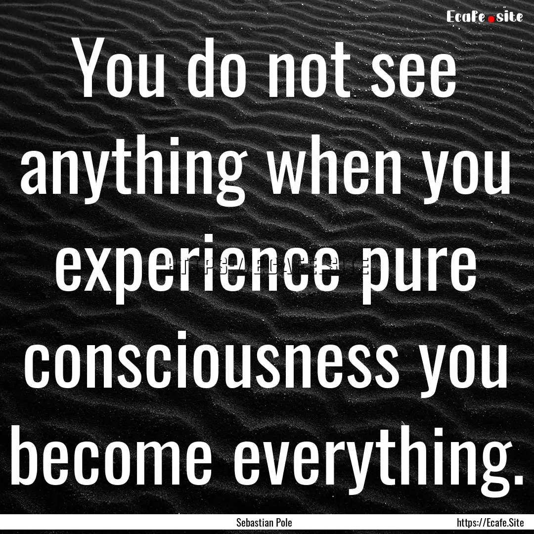 You do not see anything when you experience.... : Quote by Sebastian Pole