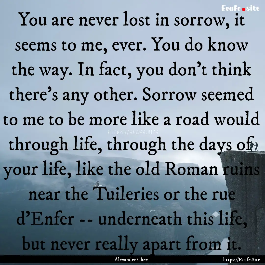 You are never lost in sorrow, it seems to.... : Quote by Alexander Chee