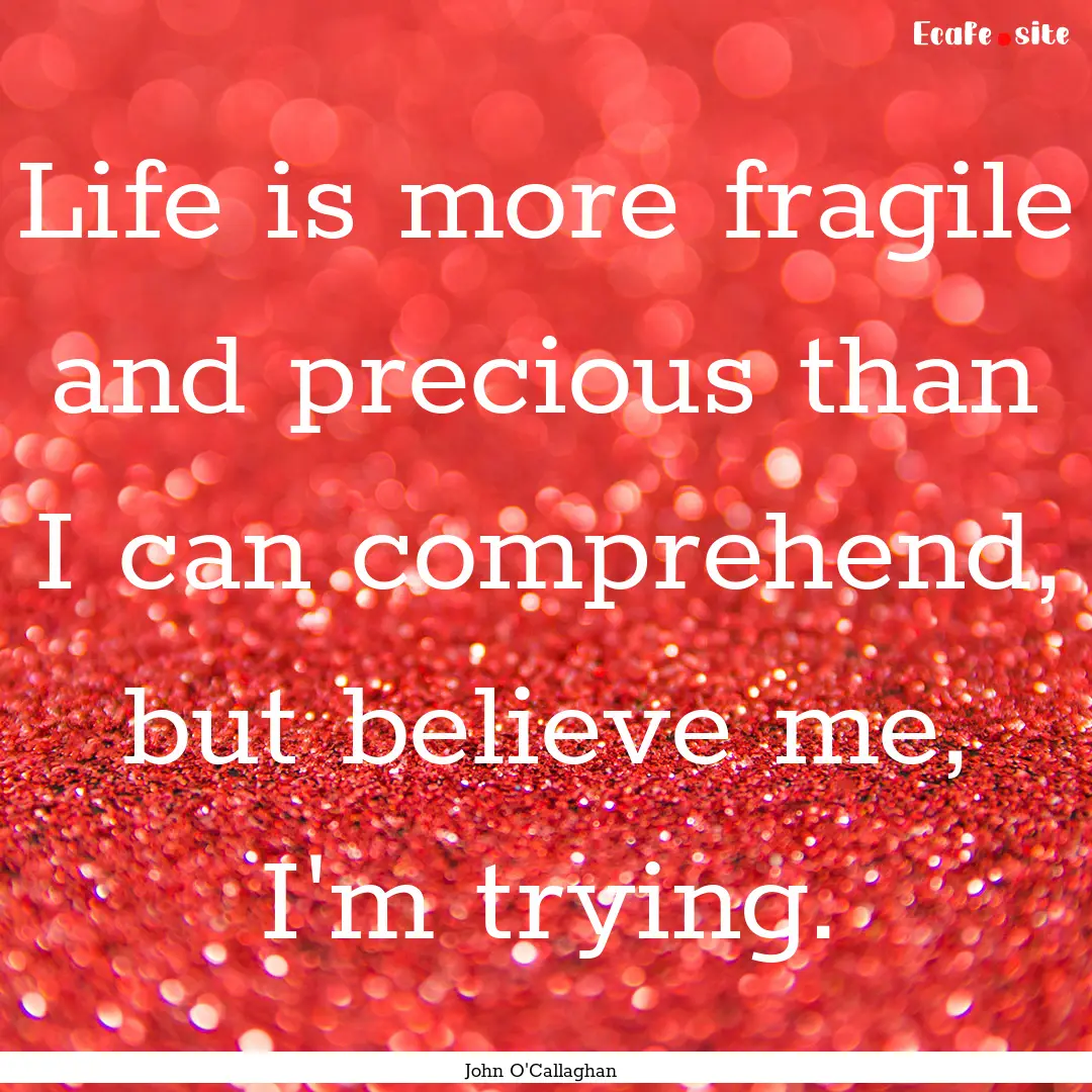 Life is more fragile and precious than I.... : Quote by John O'Callaghan