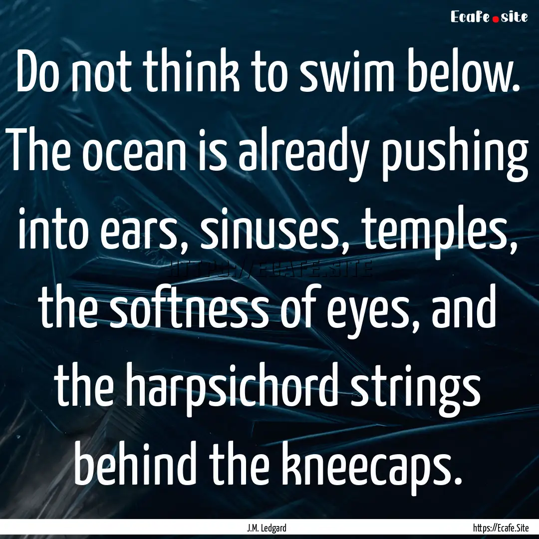 Do not think to swim below. The ocean is.... : Quote by J.M. Ledgard