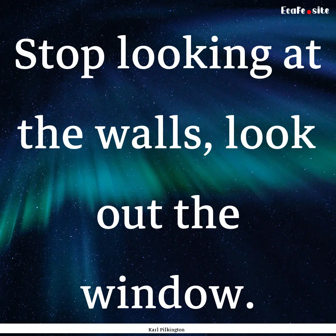 Stop looking at the walls, look out the window..... : Quote by Karl Pilkington