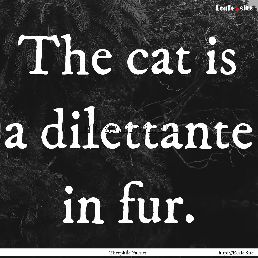 The cat is a dilettante in fur. : Quote by Theophile Gautier