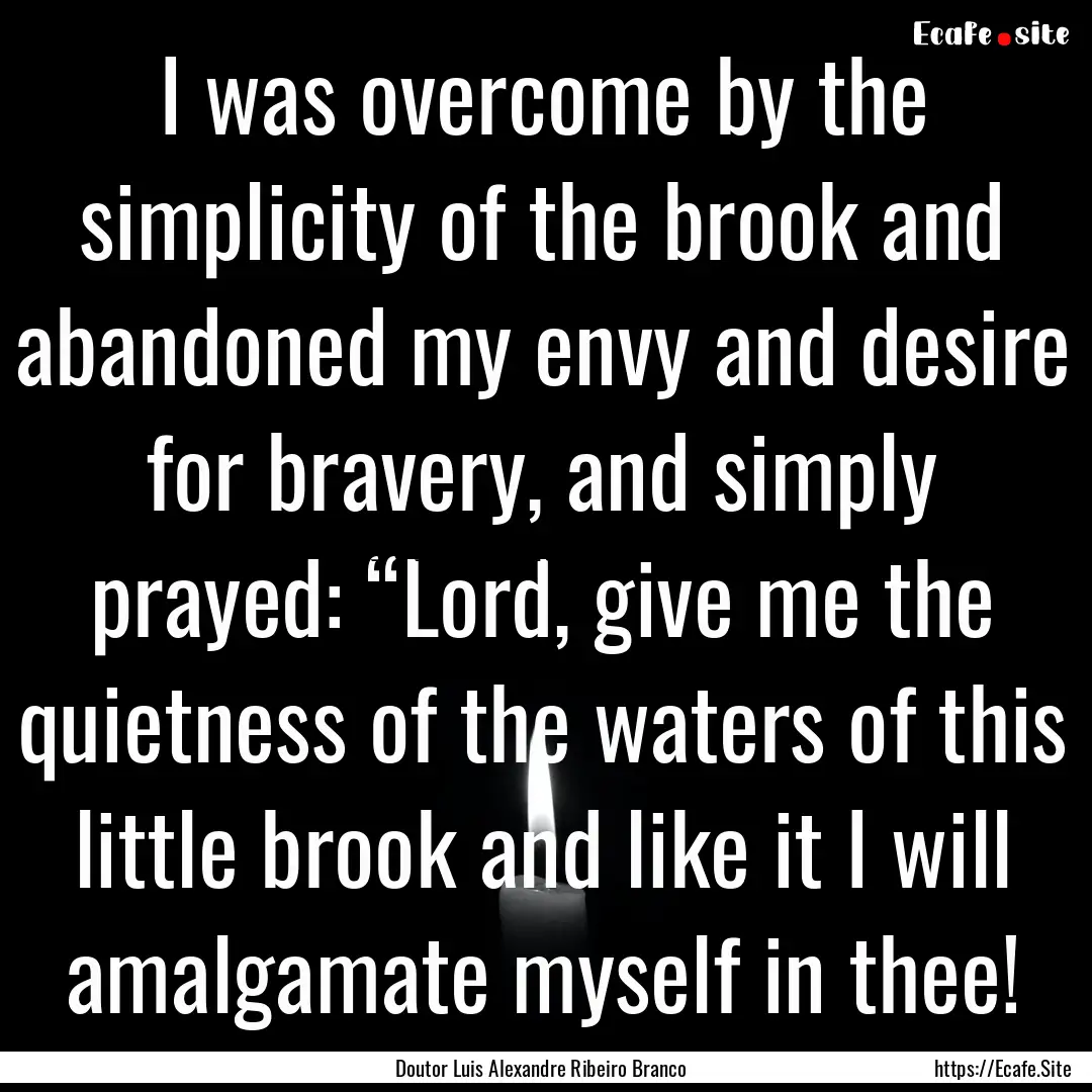 I was overcome by the simplicity of the brook.... : Quote by Doutor Luis Alexandre Ribeiro Branco