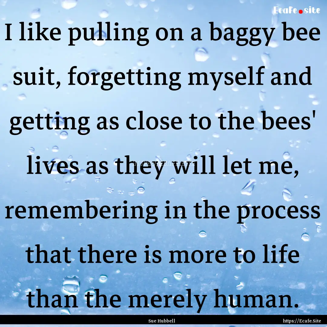 I like pulling on a baggy bee suit, forgetting.... : Quote by Sue Hubbell