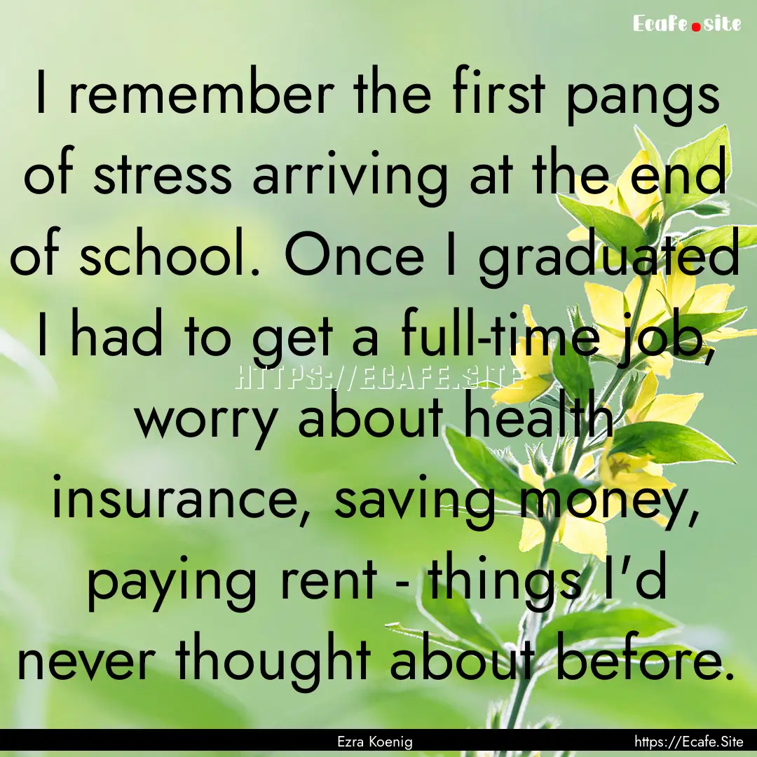 I remember the first pangs of stress arriving.... : Quote by Ezra Koenig