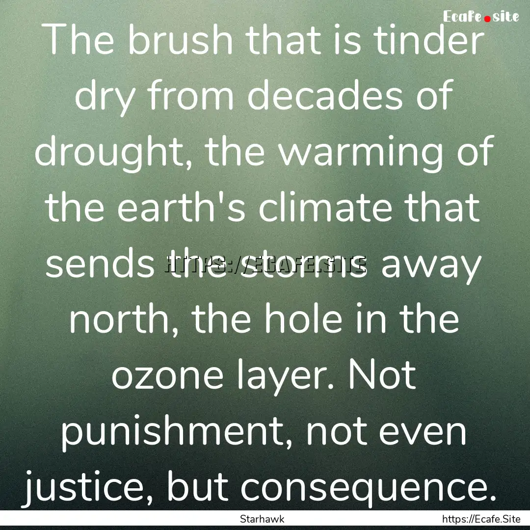 The brush that is tinder dry from decades.... : Quote by Starhawk