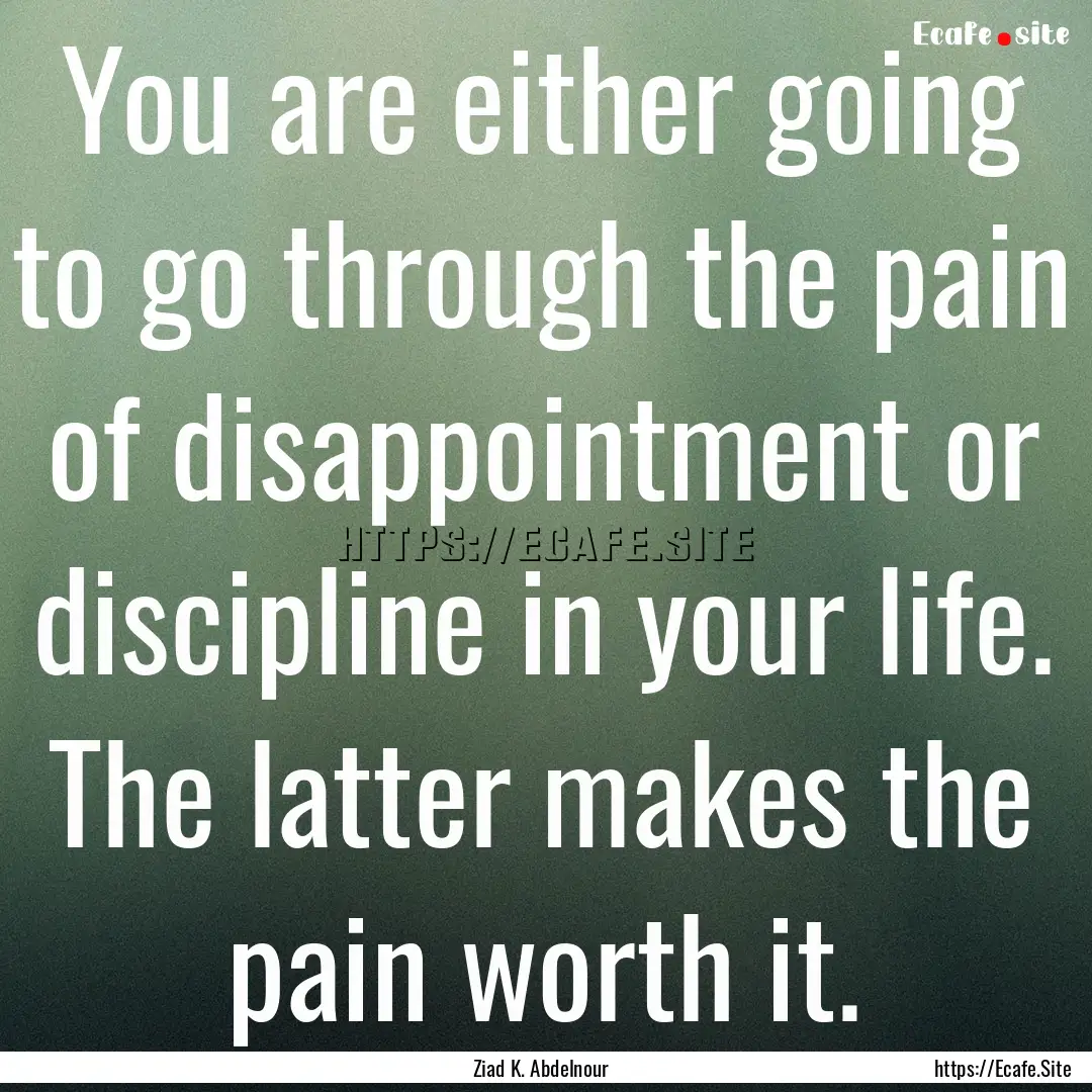 You are either going to go through the pain.... : Quote by Ziad K. Abdelnour