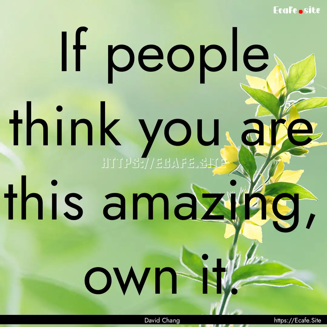 If people think you are this amazing, own.... : Quote by David Chang