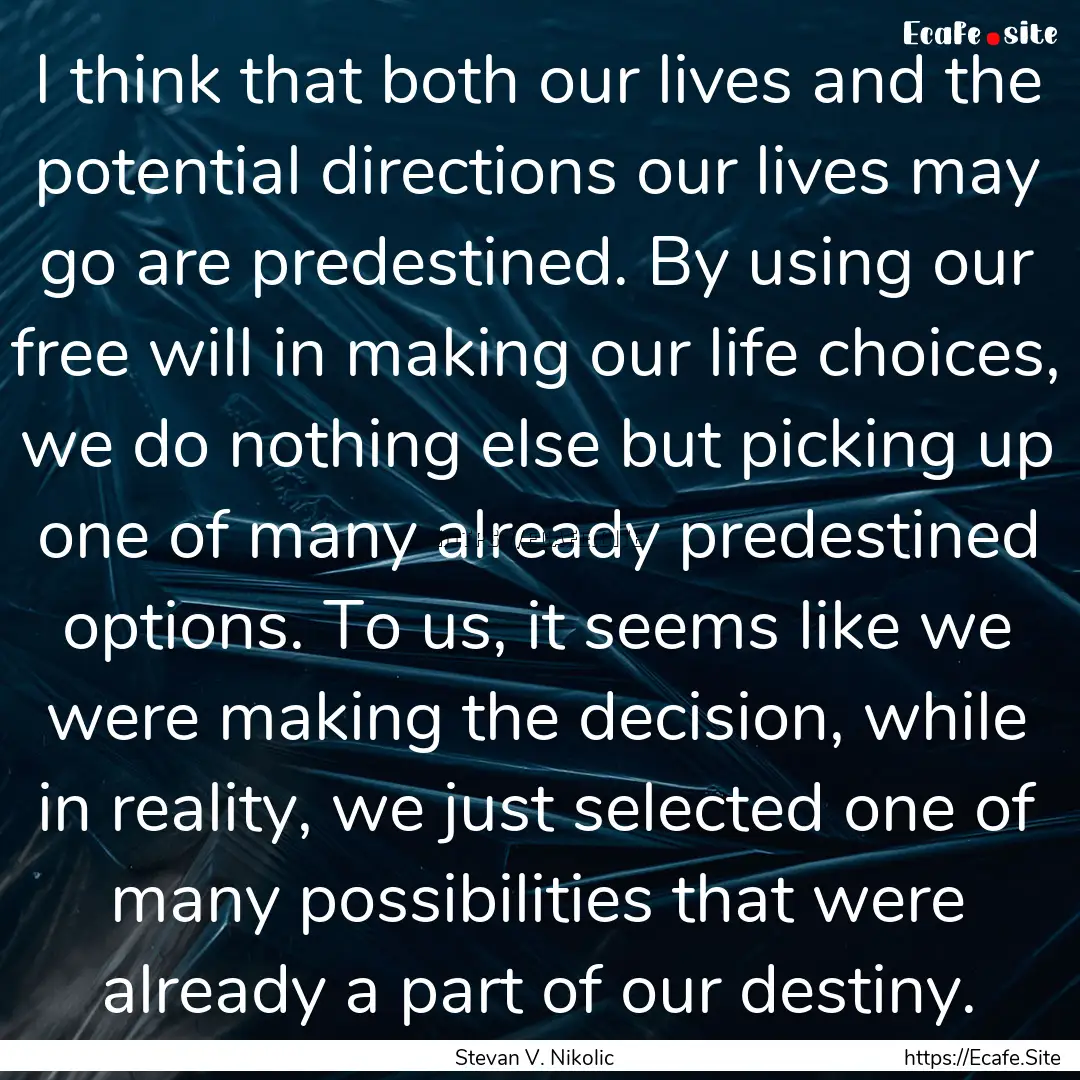 I think that both our lives and the potential.... : Quote by Stevan V. Nikolic