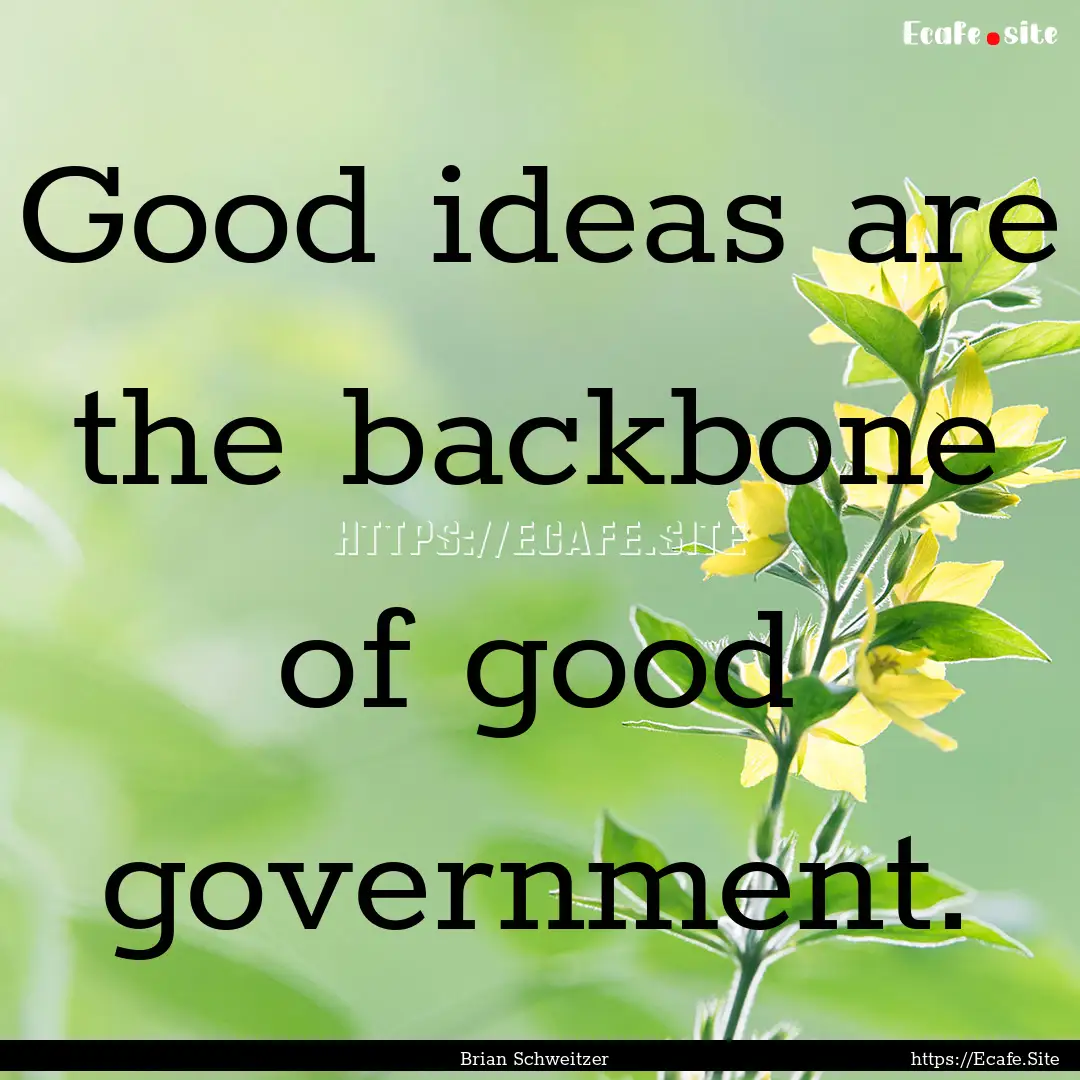 Good ideas are the backbone of good government..... : Quote by Brian Schweitzer