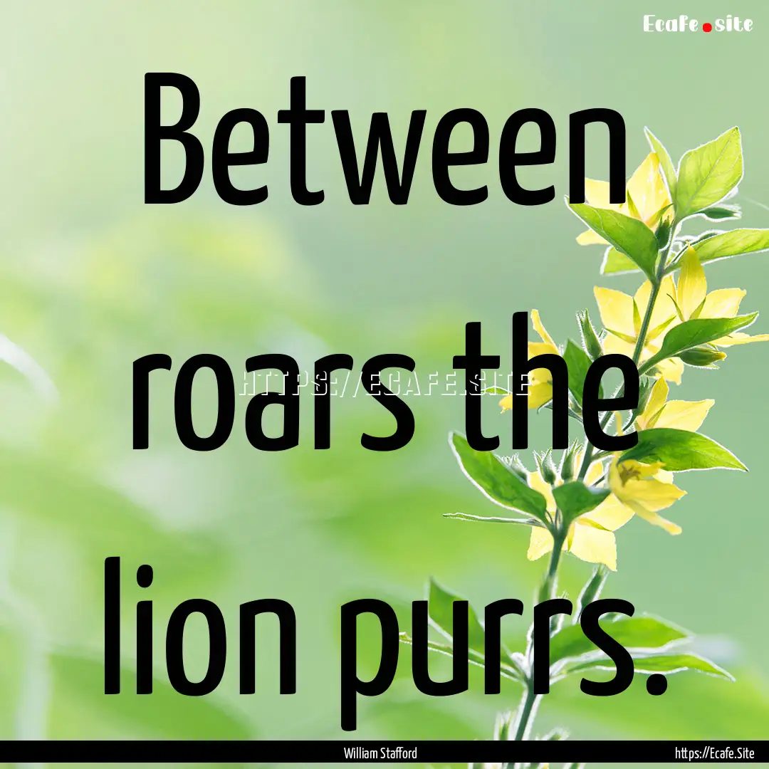 Between roars the lion purrs. : Quote by William Stafford