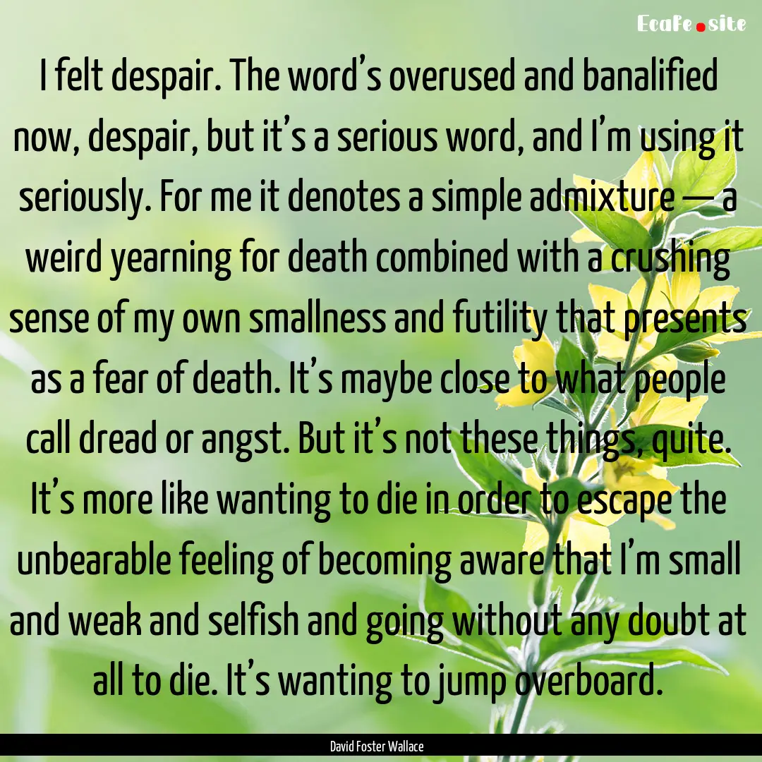 I felt despair. The word’s overused and.... : Quote by David Foster Wallace