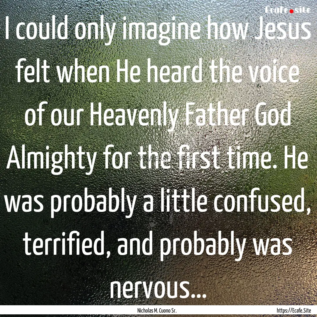 I could only imagine how Jesus felt when.... : Quote by Nicholas M. Cuono Sr.