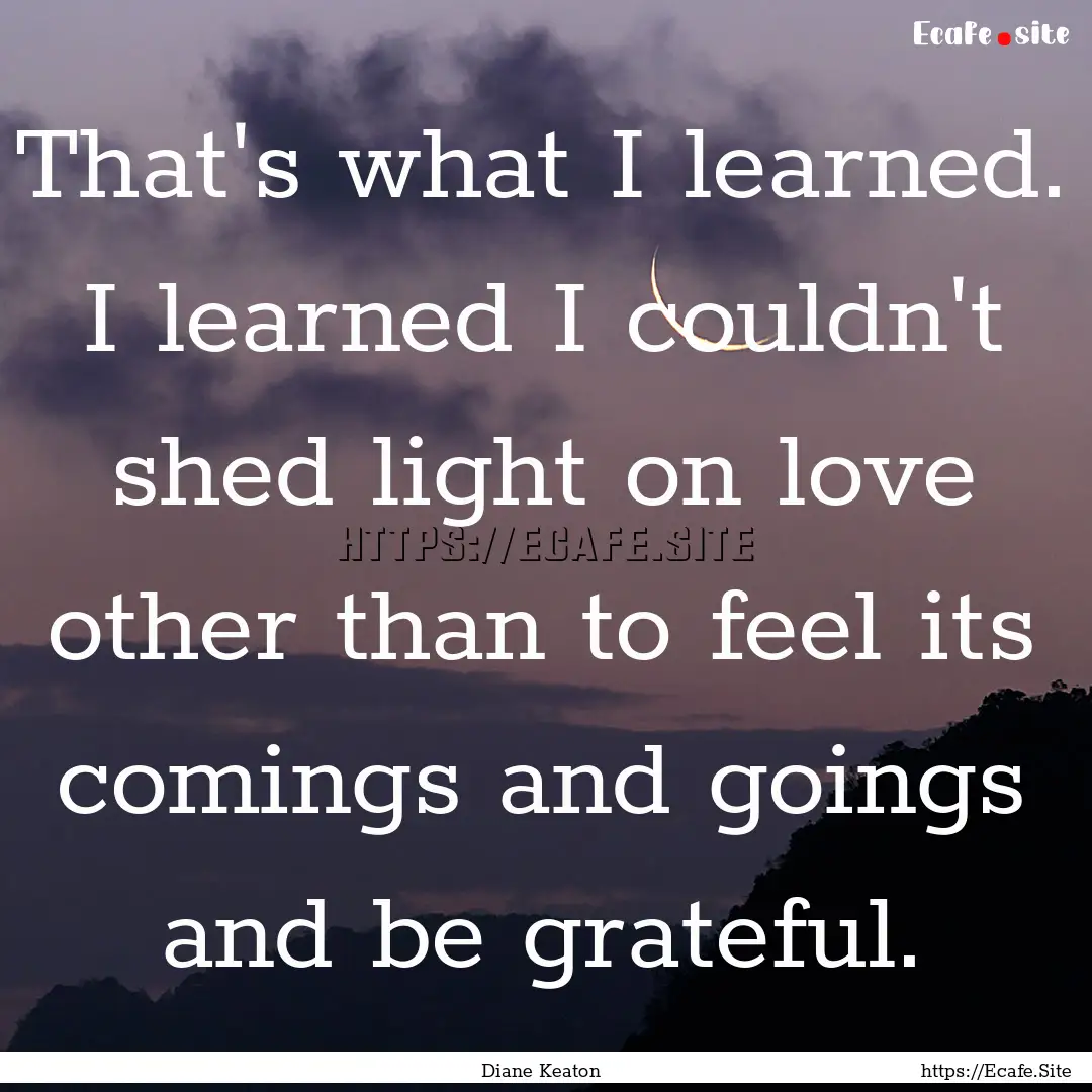 That's what I learned. I learned I couldn't.... : Quote by Diane Keaton