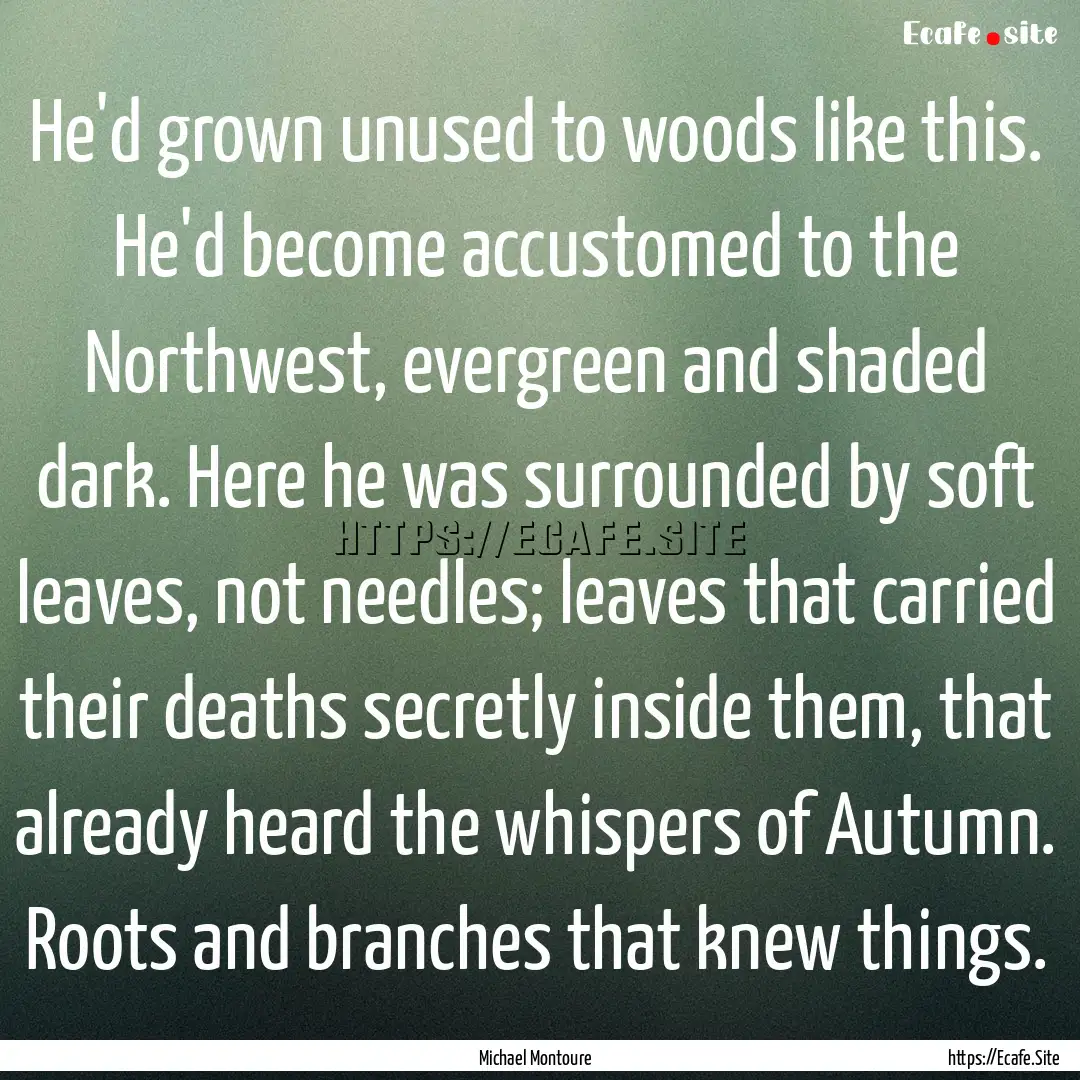 He'd grown unused to woods like this. He'd.... : Quote by Michael Montoure