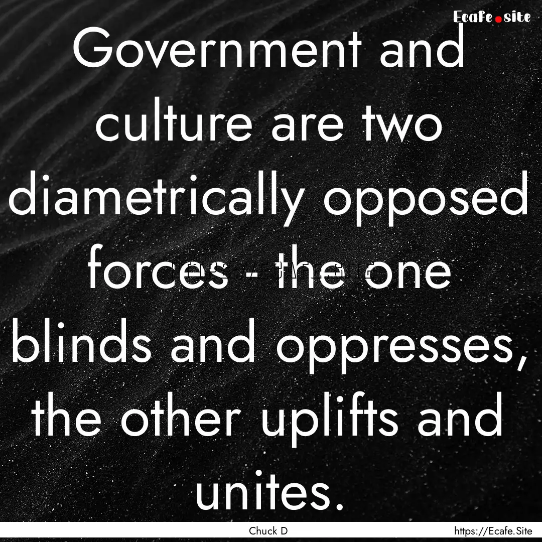 Government and culture are two diametrically.... : Quote by Chuck D