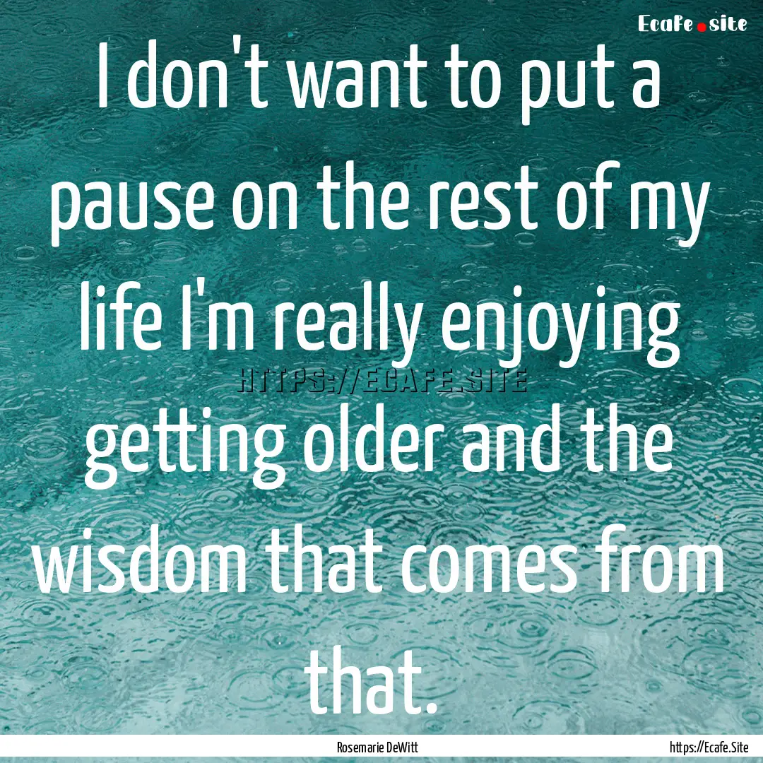 I don't want to put a pause on the rest of.... : Quote by Rosemarie DeWitt