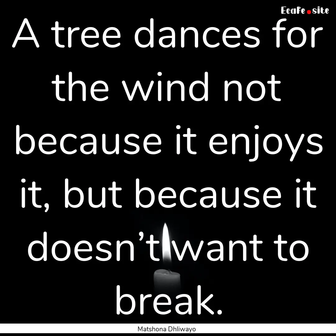 A tree dances for the wind not because it.... : Quote by Matshona Dhliwayo