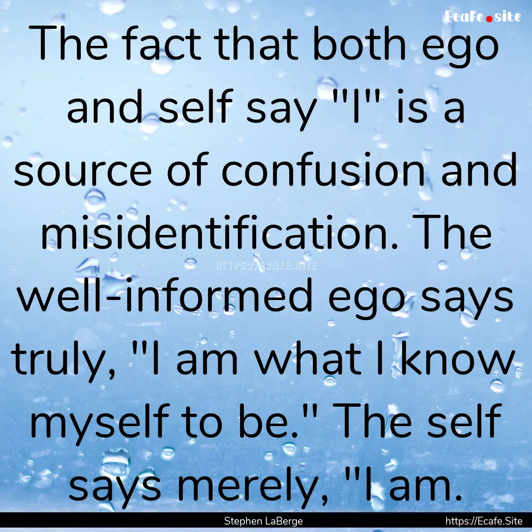 The fact that both ego and self say 