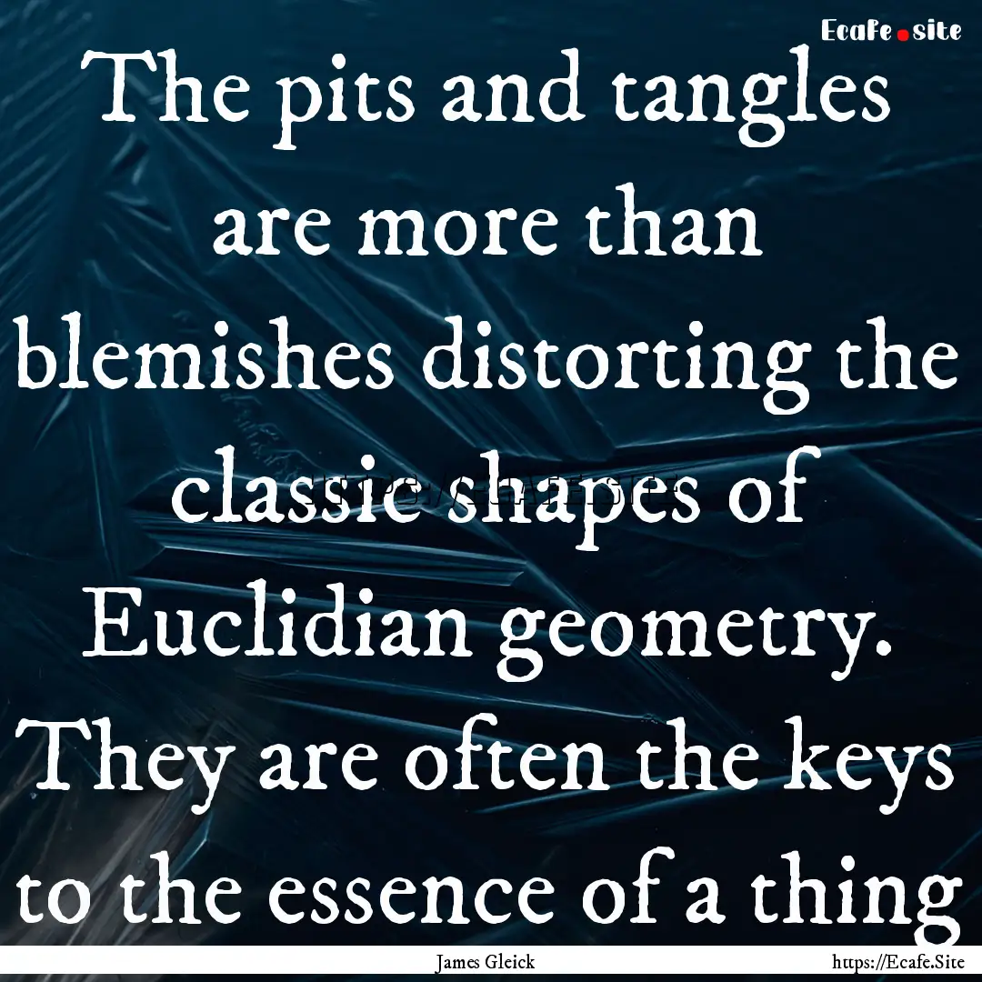 The pits and tangles are more than blemishes.... : Quote by James Gleick